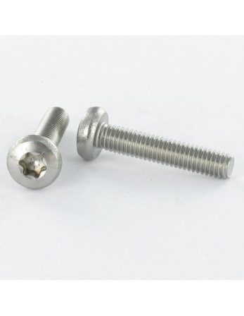 1 x Metallschrauben Zylindrischer Flachkopf T25...