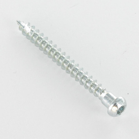 1 x Schraube HARDWARE ECKIG Zylindrischer Flachkopf T20 cut Bohrspitze mit Typ 17 Spitze Verzinkt 5X40