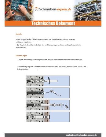 1 x Einschlaganker Nagelschraube Edelstahl A2 6x80