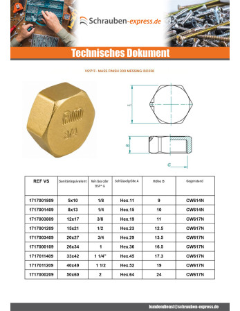 1 x Buchse Abbildung 300 33x42 (1"1/4) mit...