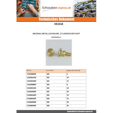 1 x Metallschrauben Messing Zylindrischer Flachkopf Gerändelt M6X40