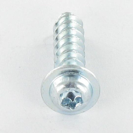1 x Schraube PVC Zylindrischer Flachkopf T20 4X16 HOCH.T3 Verzinkt