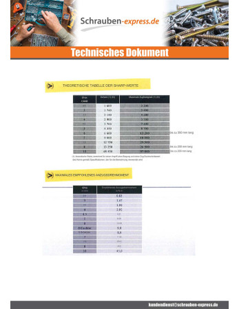 1 x Spanplattenschraube CACHTOR 6X38 Verzinkt