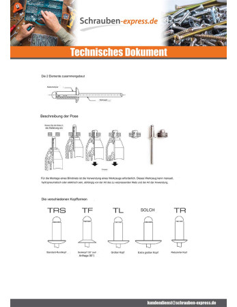 1 x Niet Blind GOLIGHT ALU/ALU TRS 4,8 x 16
