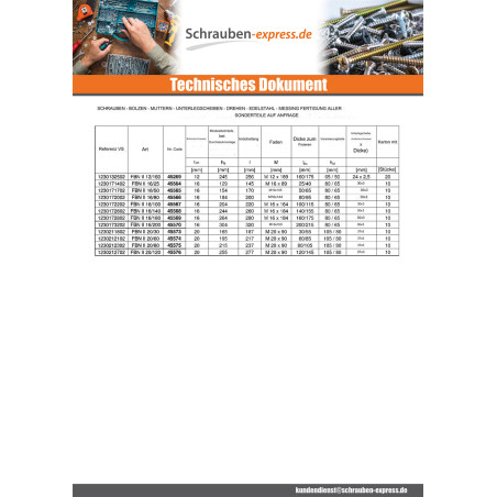1 x Fischer BOZELENANKER Fischer FBN II 16x200 Mit Gewinde 144 Verzinkt