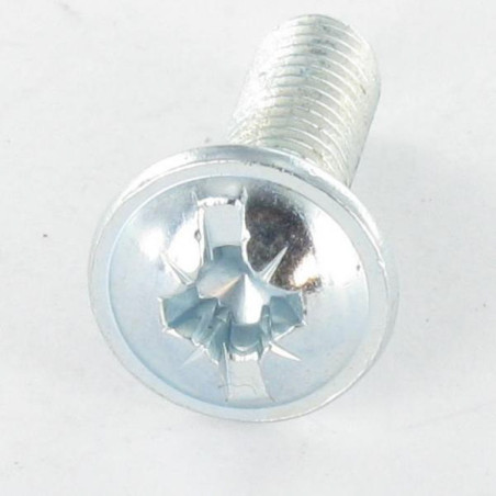 1 x Schraube Flachrundkopfschraube POZI und gespalten M4X30 Verzinkt