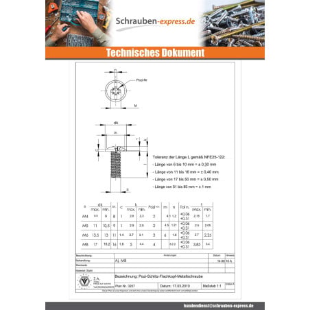 1 x Schraube Flachrundkopfschraube POZI und gespalten M4x16 Stahl schwarz verzinkt