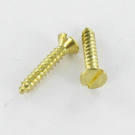 1 x Blechschraube Senkkopfschraube Gespalten 2,9 x 16 Vermessingtem Stahl