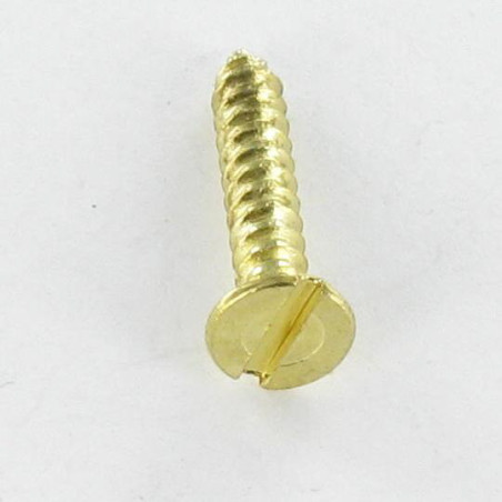 1 x Blechschraube Senkkopfschraube Gespalten 2,9 x 16 Vermessingtem Stahl