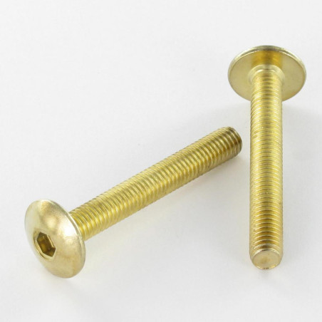 1 x Schraube Flachrundkopfschraube M6x45 Schraubenschlüssel 4 Vermessingtem Stahl