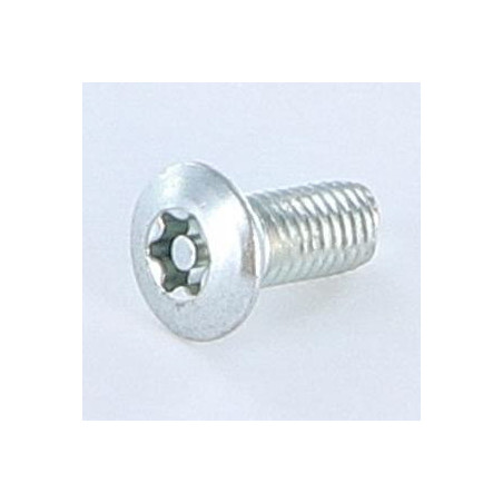 1 x Gewindefurchende Schraube Sichere 5x12 Flacher Senkkopf T25+TETON Verzinkt