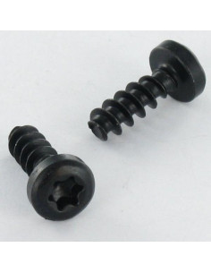 Schraube für Kunststoff Zylindrischer Flachkopf T10 3x16...