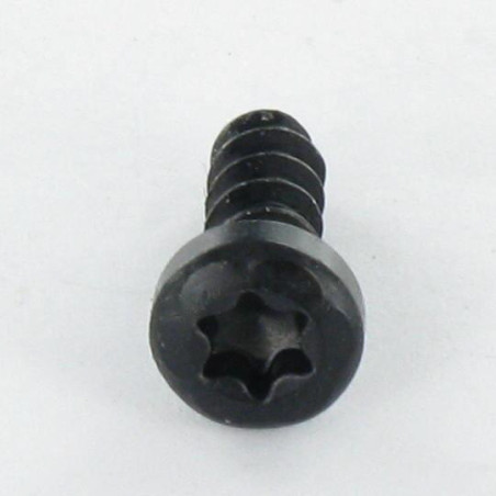 1 x Schraube für Kunststoff Zylindrischer Flachkopf T10 3x16 Stahl schwarz verzinkt Mikroschrauben