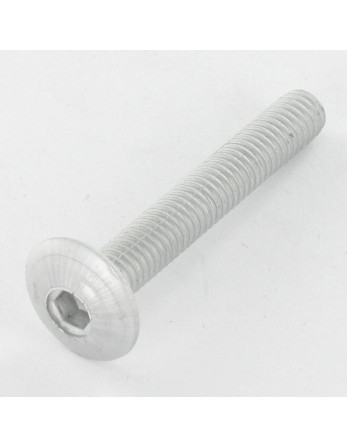 1 x Schraube Flachrundkopfschraube M6x35 Mit...