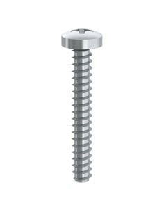 Blechschraube Zylindrischer Flachkopf Phillips 2 Ohne...