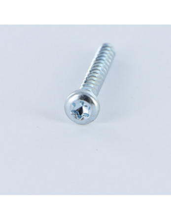 1 x Schraube PVC Zylindrischer Flachkopf T20...