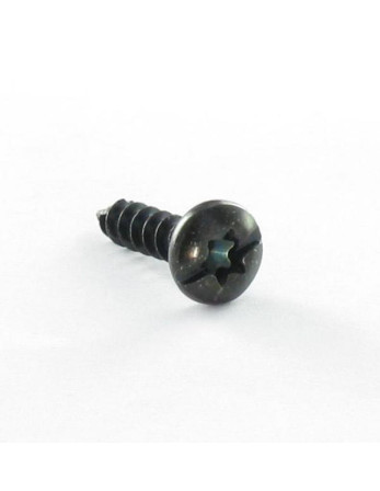 1 x Schraube PVC Flachrundkopfschraube T20 +...