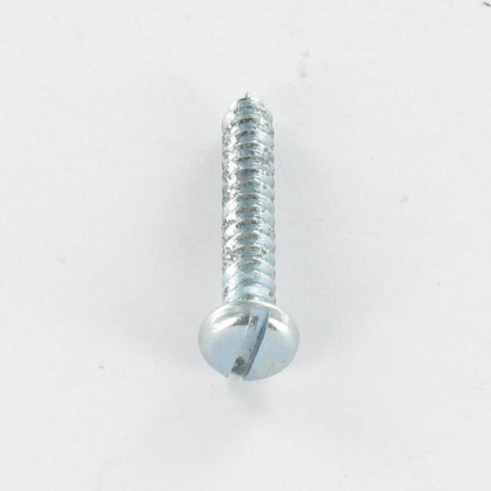 1 x Blechschraube Zylindrischer Flachkopf Gespalten 3,9 x 25 Verzinkt