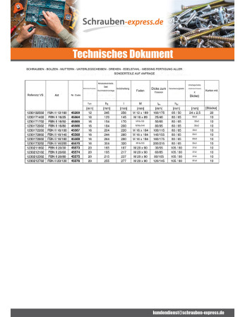 1 x Fischer BOZELENANKER Fischer FBN II 12x216...