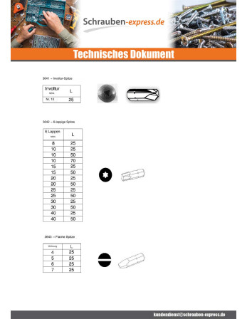 1 x Biteinsatz Sichere Schraube HC+TETON M3...