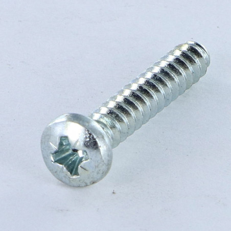 1 x Schraube für Kunststoff Zylindrischer Flachkopf Pozi 4,2X1" Gewinde 60 degrees Verzinkt