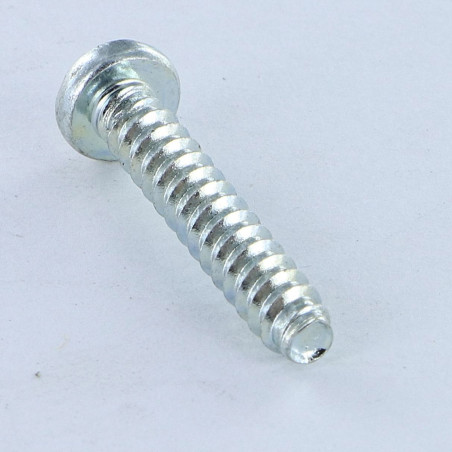 1 x Schraube für Kunststoff Zylindrischer Flachkopf Pozi 4,2X1" Gewinde 60 degrees Verzinkt