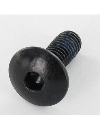 1 x Schraube Flachrundkopfschraube M6x16...