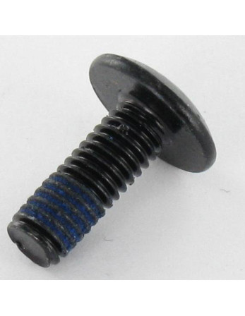 1 x Schraube Flachrundkopfschraube M6x16...