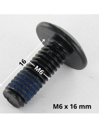 1 x Schraube Flachrundkopfschraube M6x16...