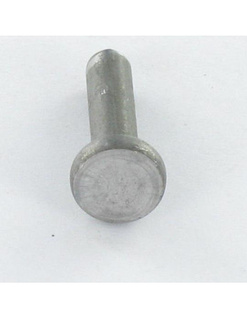 1 x Vollniet Flachkopf 6x20 ALUA5