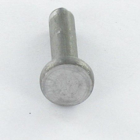 1 x Vollniet Flachkopf 6x20 ALUA5