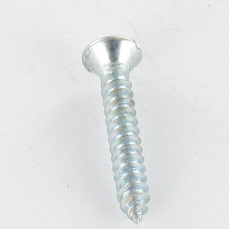 1 x Blechschraube Flacher Senkkopf Gespalten 4,2 x 50 Verzinkt