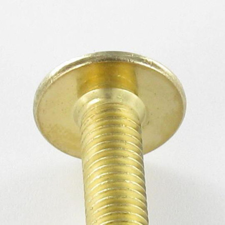 1 x Schraube Flachrundkopfschraube M6x25 Schraubenschlüssel 4 Vermessingtem Stahl