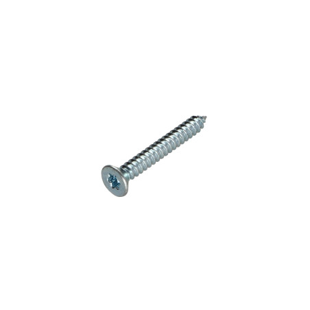1 x Blechschraube Senkkopfschraube T20 4,2 x 13 Verzinkt