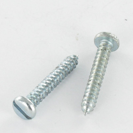 1 x Blechschraube Zylindrischer Flachkopf Gespalten 4,2 x 13 Verzinkt