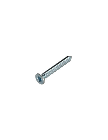 1 x Blechschraube Senkkopfschraube T20 4,2 x 25 ZN