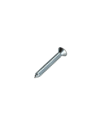 1 x Blechschraube Senkkopfschraube T20 4,2 x 25 ZN