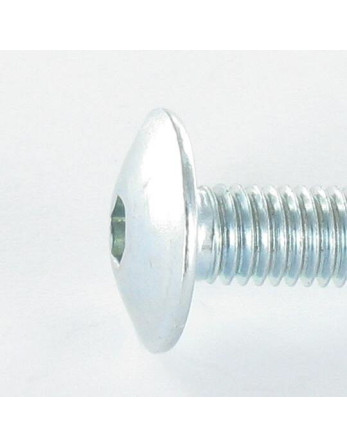 1 x Schraube Flachrundkopfschraube M6X40...