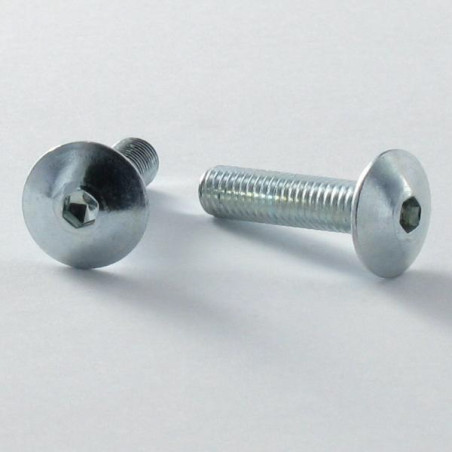 1 x Schraube Flachrundkopfschraube M5x20 Schraubenschlüssel 3 Verzinkt