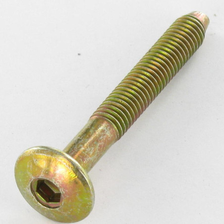 1 x Schraube Flachrundkopfschraube Innensechskant M6x47 Mit Gewinde 32 Kegelförmige Spitze Dichromat