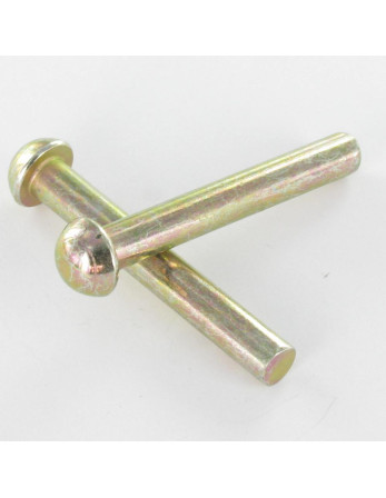 1 x Vollniet Rundkopf 3,5 x 11,5 Dichromat