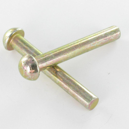 1 x Vollniet Rundkopf 3,5 x 11,5 Dichromat