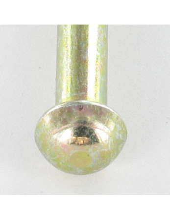 1 x Vollniet Rundkopf 3,5 x 11,5 Dichromat