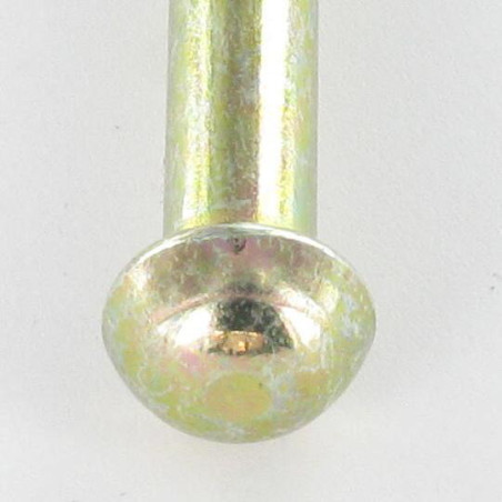 1 x Vollniet Rundkopf 3,5 x 11,5 Dichromat