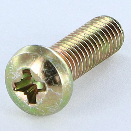 1 x Metallschrauben Zylindrischer Halbrundkopf Pozi PZ4 M6X38 Pozi PZ3 200 Stunden Salzprühnebel Dichromat