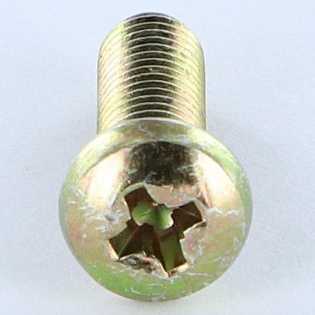 1 x Metallschrauben Zylindrischer Halbrundkopf Pozi PZ4 M6X38 Pozi PZ3 200 Stunden Salzprühnebel Dichromat