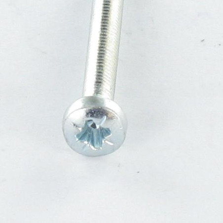 1 x Gewindefurchende Schraube breitem gewölbtem kopf M4x12 Pozi PZ3 Verzinkt