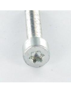 Gewindefurchende Schraube Zylindrischer Flachkopf M4x25... 2