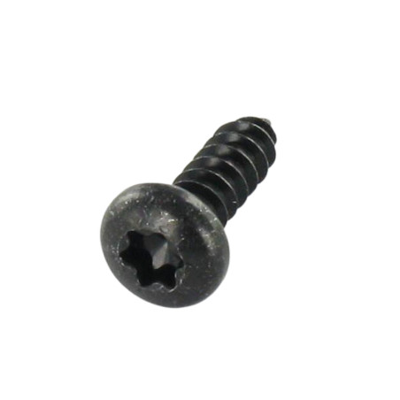 1 x Blechschraube Zylindrischer Flachkopf 4,2 x 13 T20 Stahl schwarz verzinkt