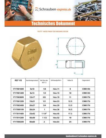 1 x Buchse Abbildung 300 26x34 (1") Messing